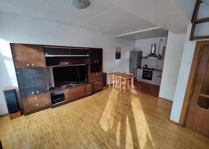 Apartment Spacious Near Old Town