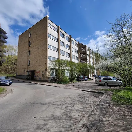 Spacious Near Old Town Wilno