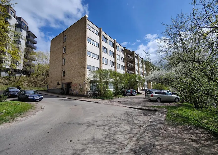 Spacious Near Old Town Vilnius